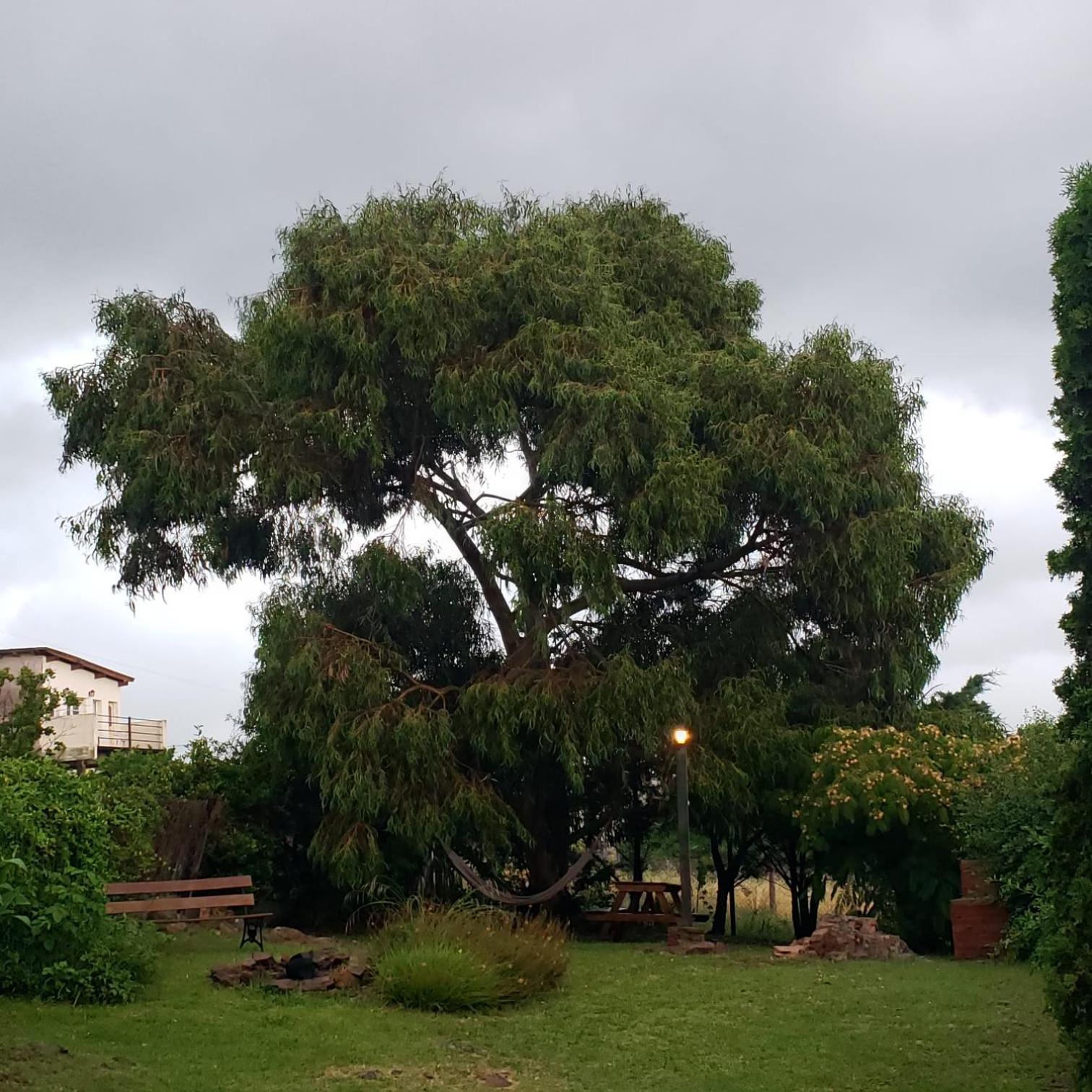 טנדיל Casa Bordo, B & B מראה חיצוני תמונה